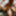 Amateur Wife&#039;s Wild Ride