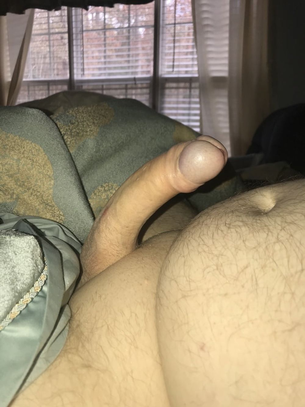 Cock  #37