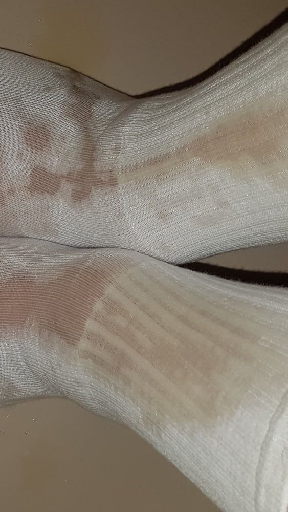 My white Socks - Pee #27