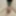 More of my tiny cock #2