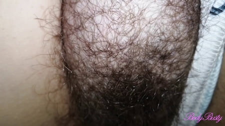 hairy bush