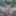 Tygra naked in the woods #49