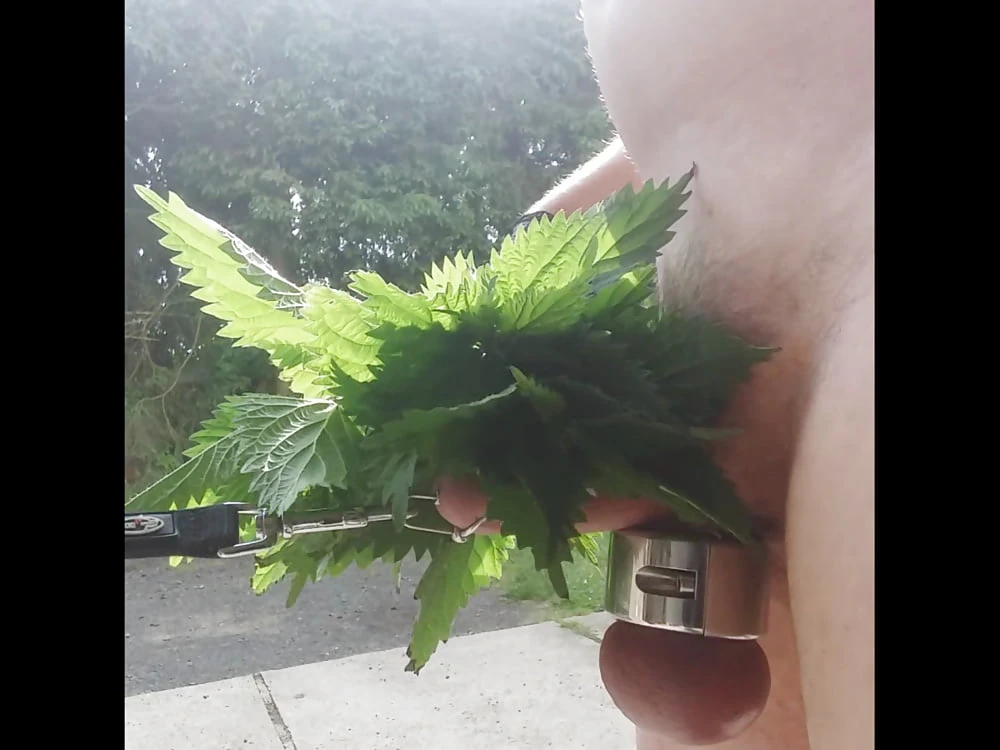 Nettles for my Cock #5