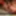 sounding dildo lingerie 16