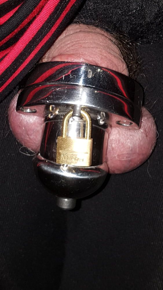 Chastity cage #7