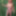 GILF Greenscreen GIFs #6