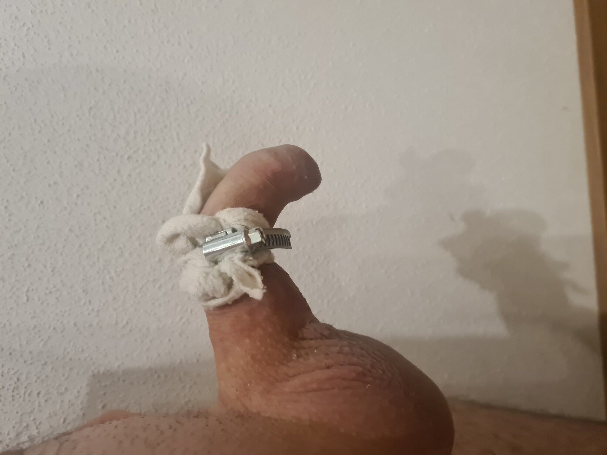 Penis banding session with hoseclamp #15