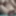 mr_S&#039;s dick