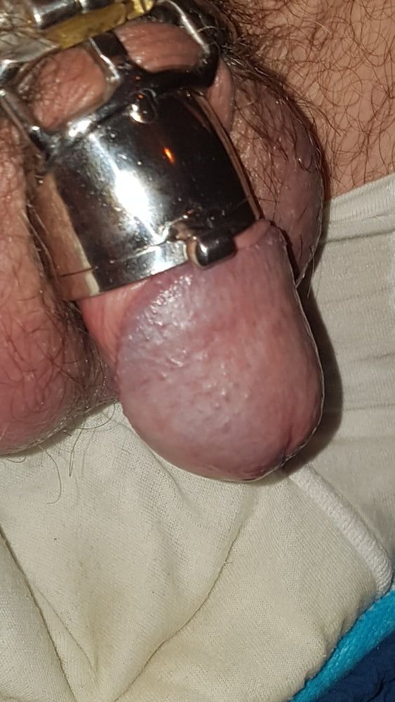 Chastity cage #52