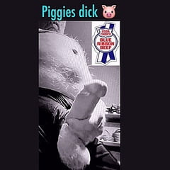 Piggy