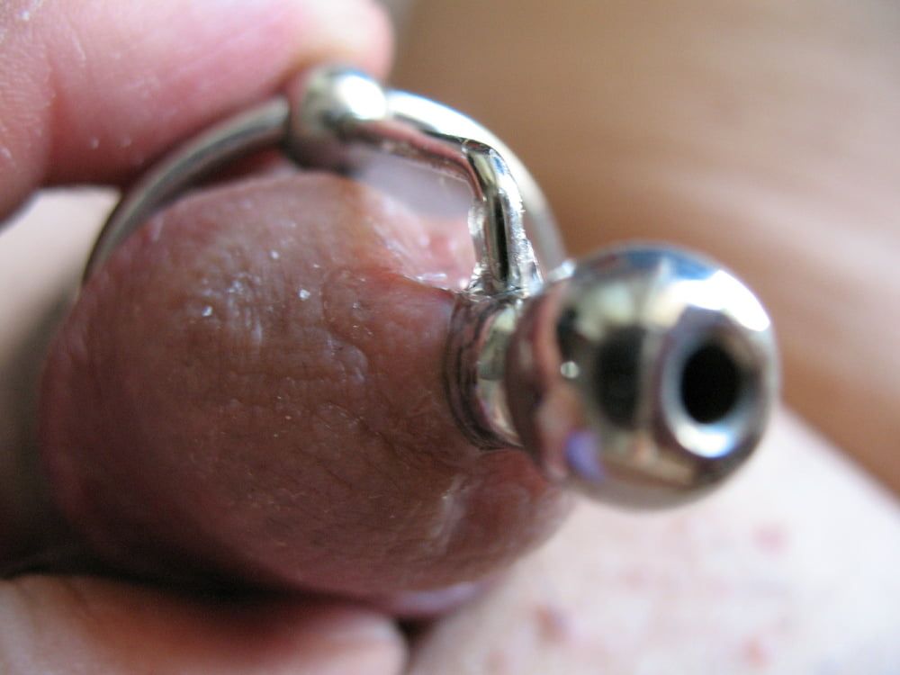 More steel in cock with glans rings #13