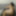 Lara White Sissy Thick Shemale Anal Masturbation Dildo  8 #13