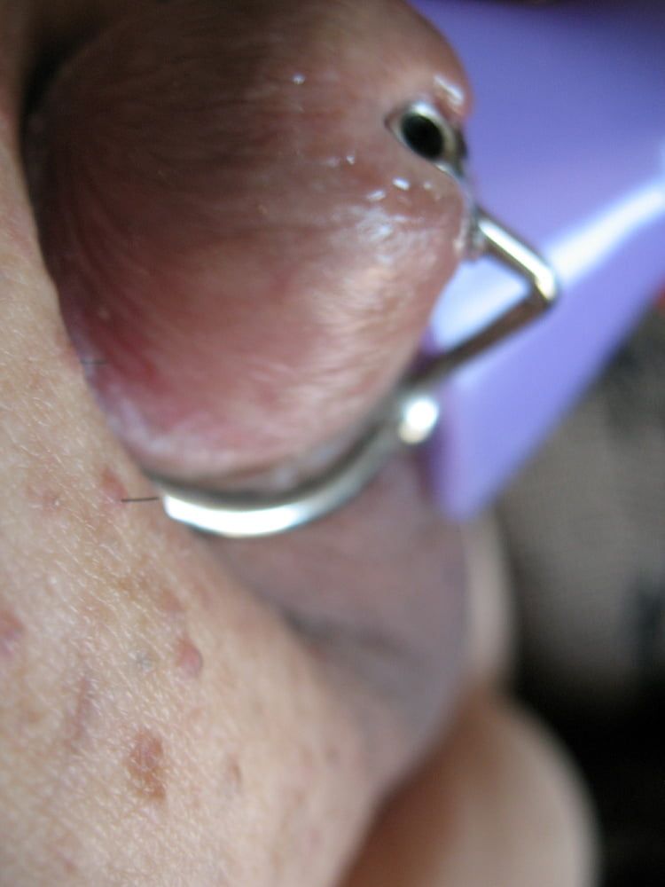 More steel in cock with glans rings #38