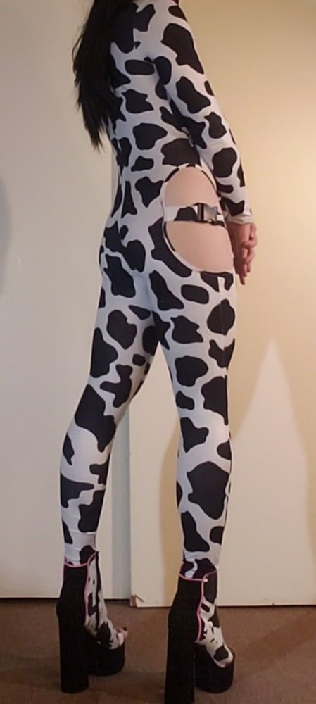 Cow Slut in Her Spots #24