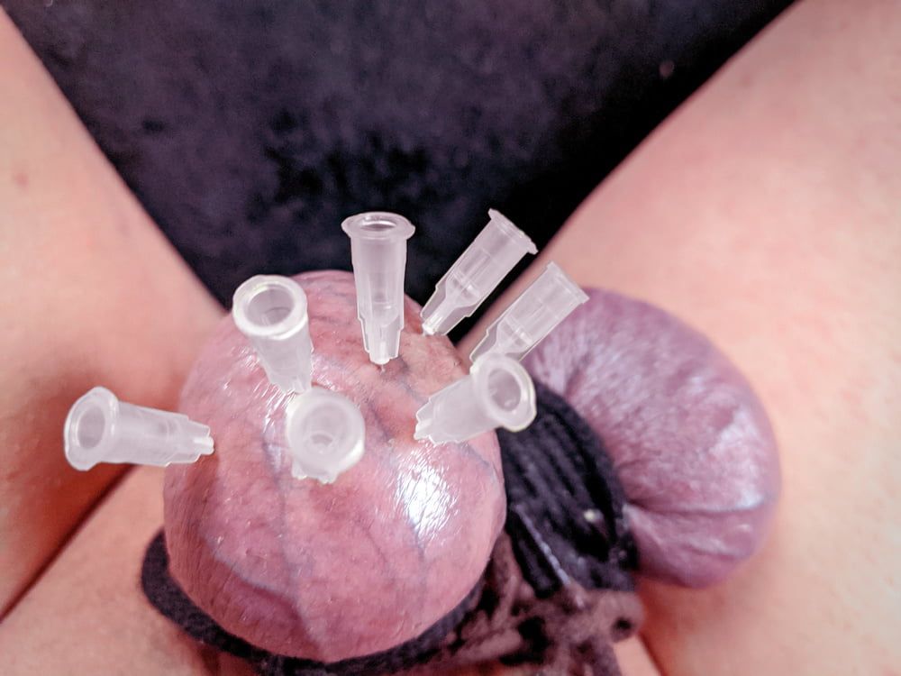 Testicle Skewering Needles in Balls CBT Session #17