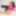 TGIRL40: No Tease, Just Release #3