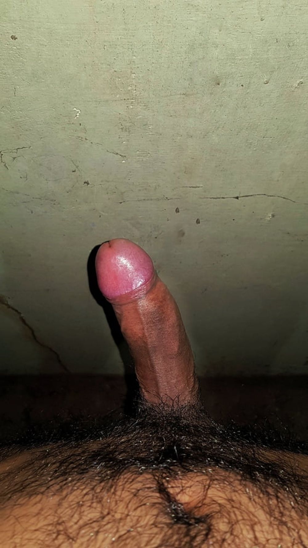 Asian Dick