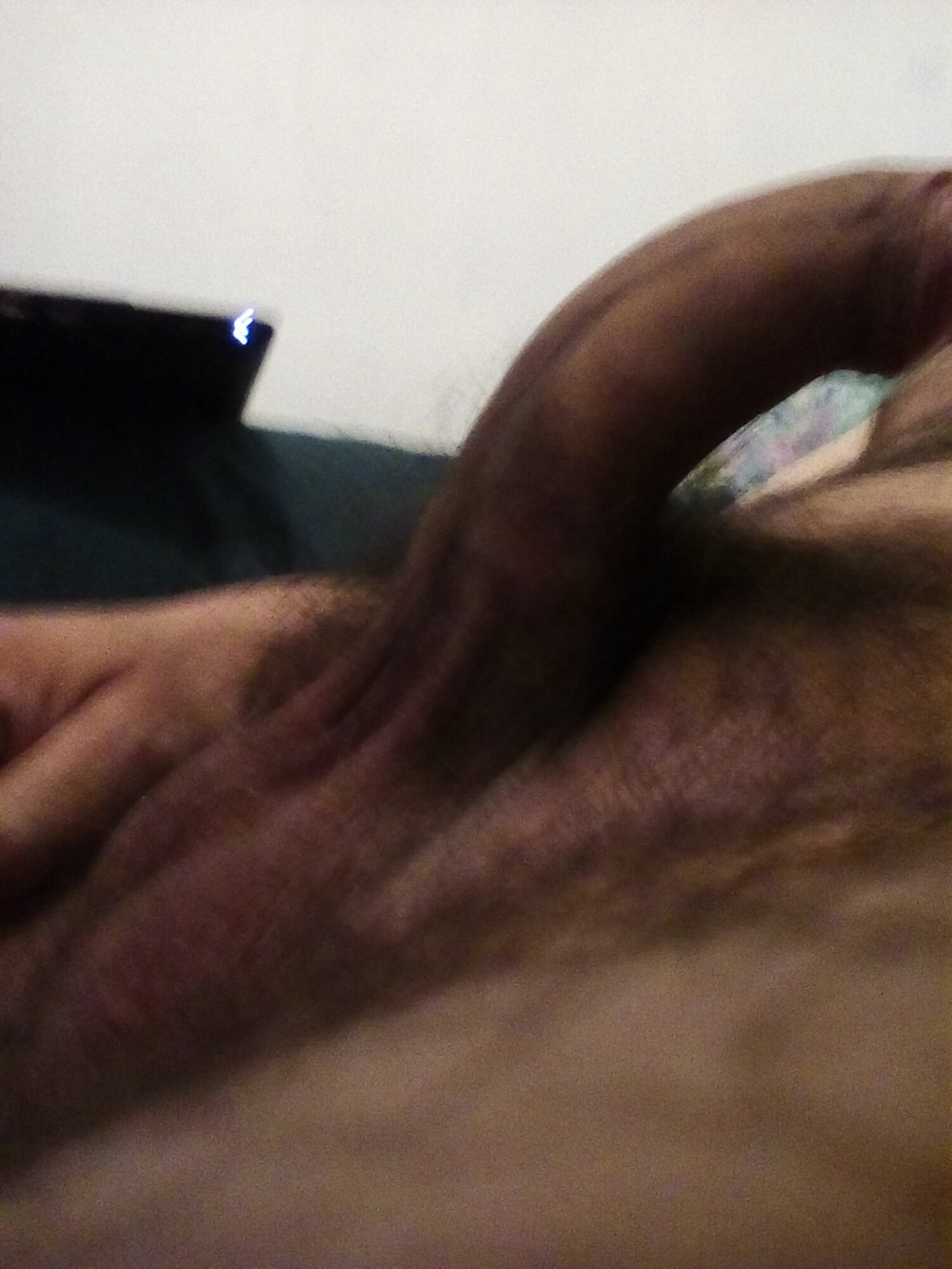 StallionXXX #16