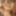 ElegantRaw Interracial Double Penetration 