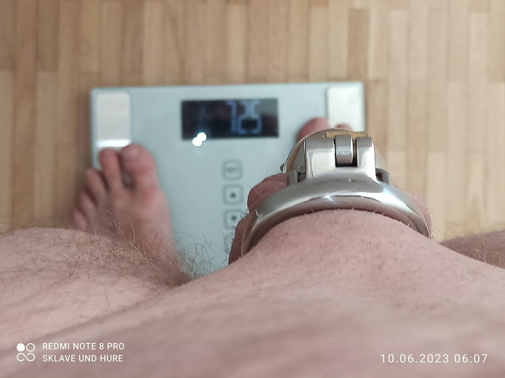 weighing , cagecheck, 10.06.2023 #10