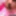 Posing Big Young Ass &amp; Pussy Sheisnovember 4k Closeup