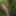 Wanking in the woods #7