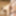 Stepdad learns Kama Sutra with horny stepdaughter #19