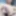 Troye Collections