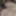 Big black muscular dick in Lacey&#039;s pussy