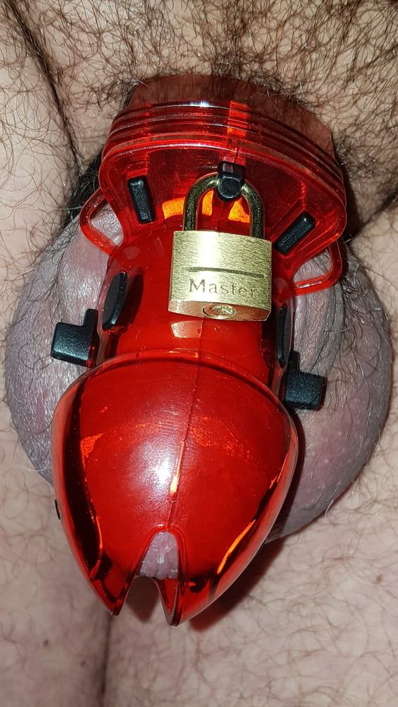 Chastity cage #3
