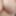 Tit close-ups