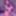 Iris Flores Free Photos