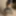 Ücretsiz KittyKat Fotoğrafları