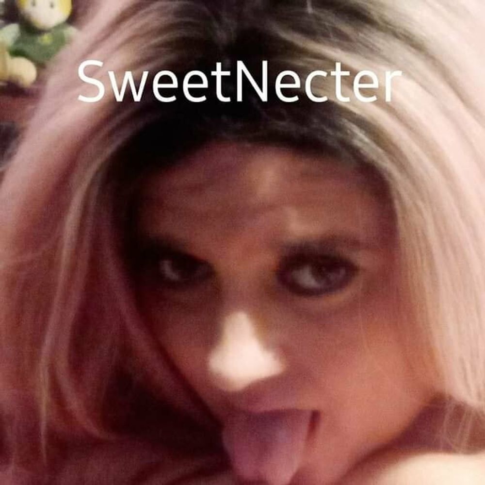 Sweet Necter  Free Photos #6