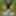 Fortune_888 Free Photos
