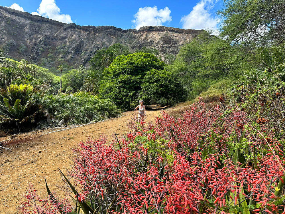 Photos from Hawaii  #24