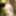 Maki Koizumi in the japanese hot springs