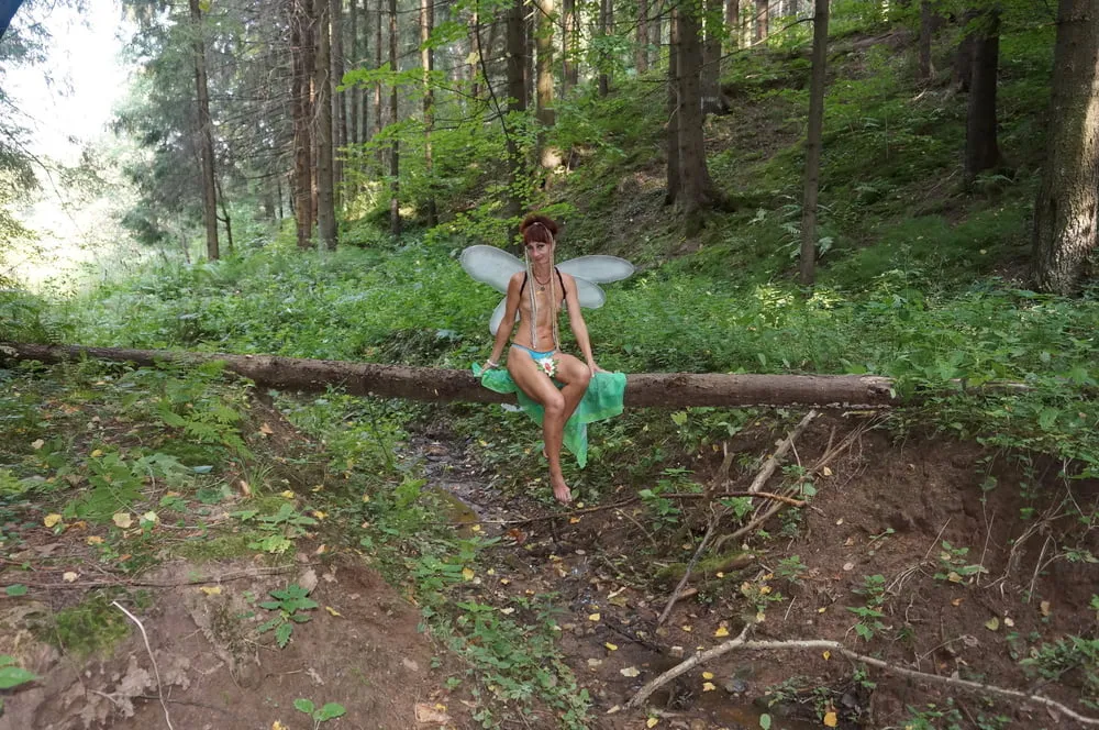 Elf in the Forest