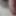 Close up cock