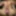 cock pics
