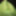 Lime spandex collection 2  #13