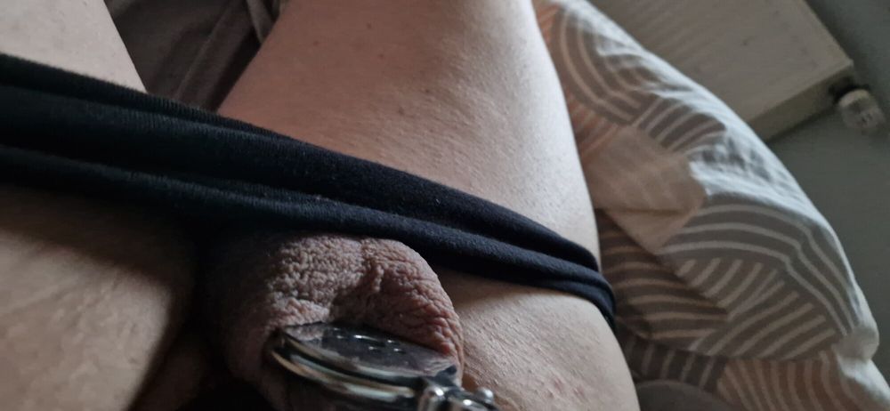 sissy pig with morning wood #5