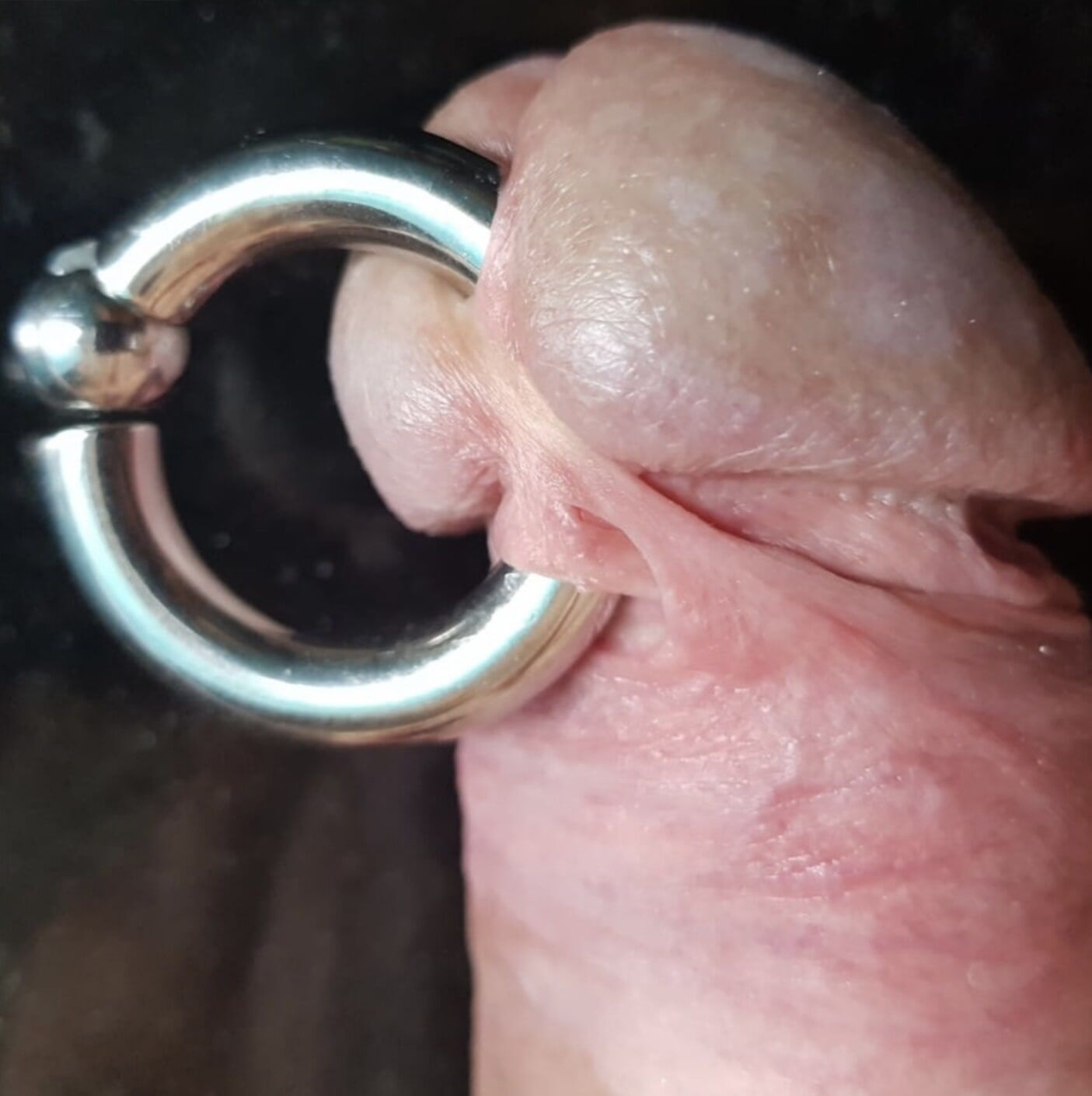 Pierced cock #3