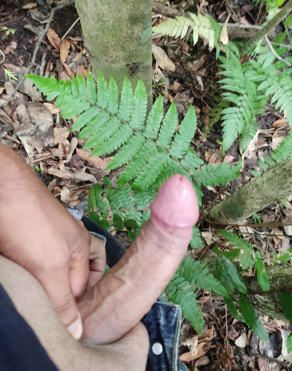 Eu mesmo 