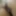 Beautiful latina pussy
