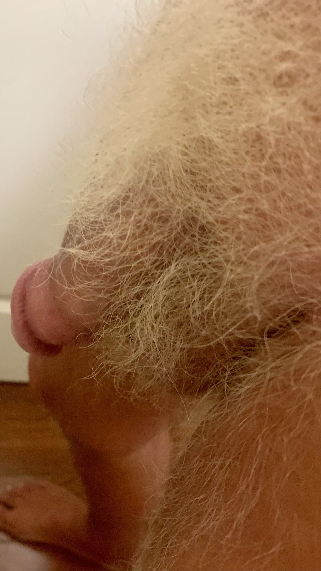 MY BLONDE HAIRED TAN COCK #5