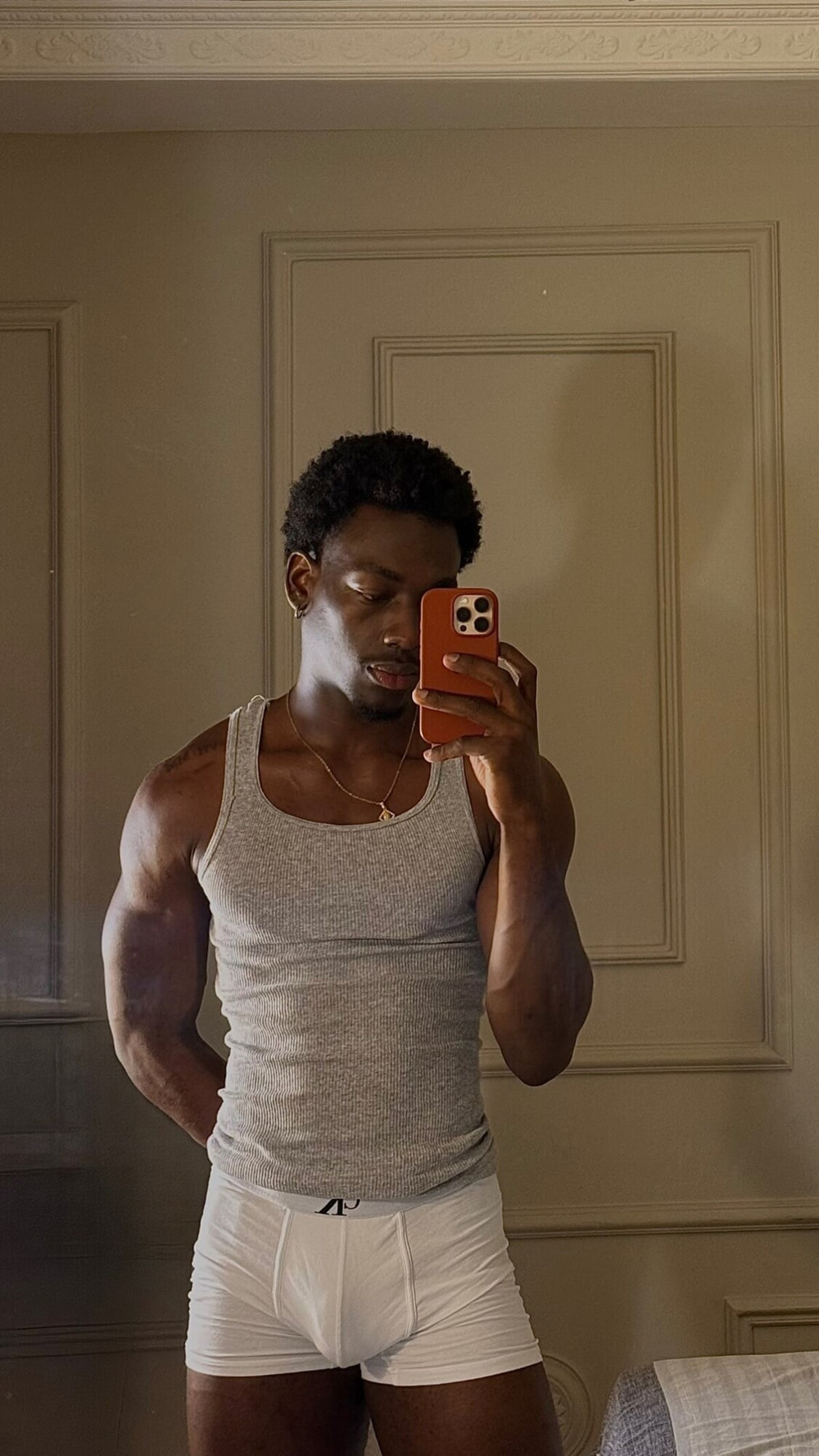 Jan Stallion Free Photos #19