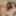  Cherry Lane and Kayla Paige are two brunette teens