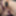 Training Progress Report and Big Reveal hehehe  #59