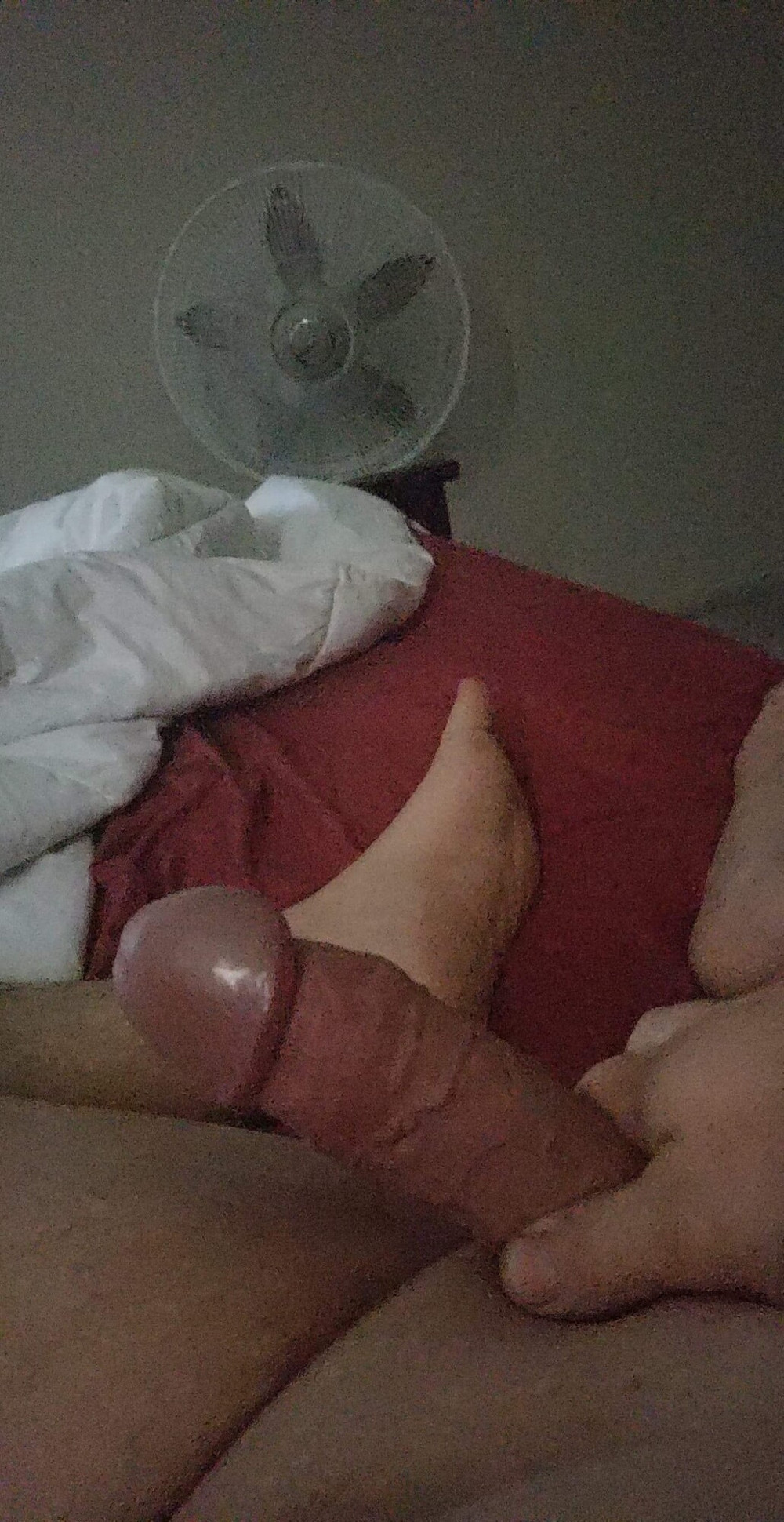 Cock